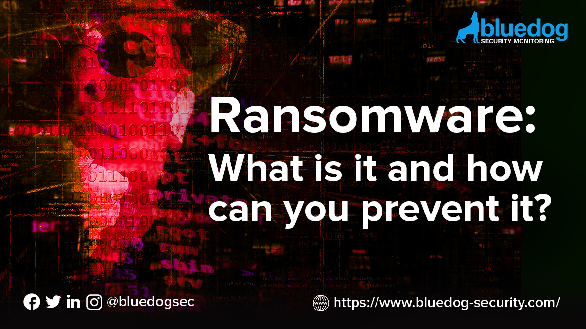 Ransomware: what is it and how can we prevent it?